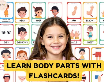 Body Parts Flash Cards Montessori Anatomy Preschool Lesson Toddler Human Game Puzzle Classroom Activity