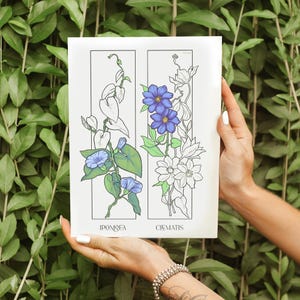 May include: A printable botanical illustration featuring two types of flowers: Ipomoea and Clematis. The Ipomoea is a blue flower with green leaves, while the Clematis is a white flower with green leaves.