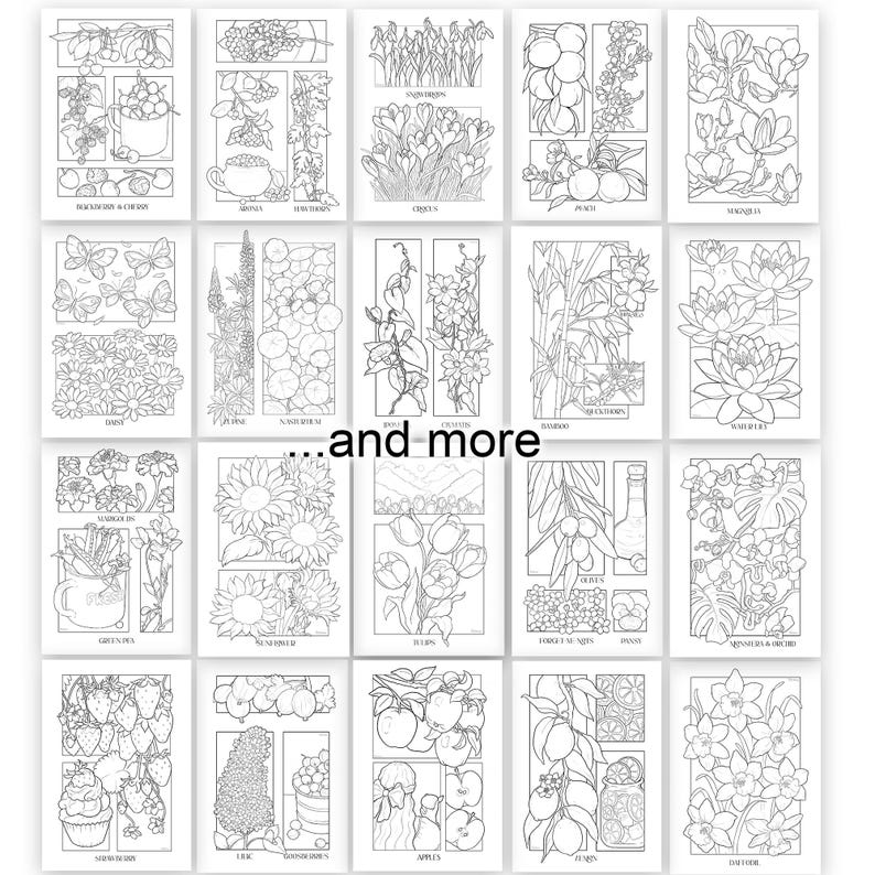 May include: A collection of black and white botanical coloring pages featuring various flowers, fruits, and plants. Each page has a detailed illustration, including sunflowers, tulips, and peaches. The phrase "...and more" is also visible.