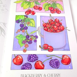 May include: A hand-drawn illustration of blackberries and cherries. The blackberries are purple and green and the cherries are red. The illustration is on a white background with a purple border.