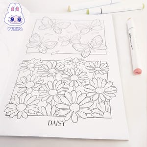 Butterfly daisy coloring page from floral coloring book