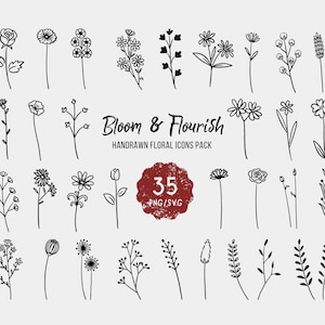 Coleção de Cliparts Florais | Elementos Florais Desenhados à Mão | Floresça e Floresça | Arte Botânica, Rabiscos Florais, Adesivos, Logotipos, SVG PNG