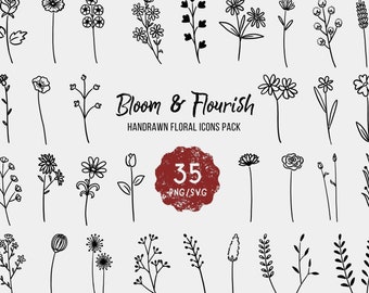 Colección de imágenes prediseñadas florales: Elementos florales dibujados a mano (SVG PNG)