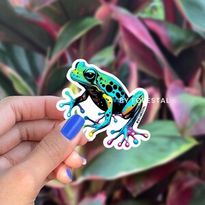 Colorful Frog Sticker | Jungle Rainforest Decal | Animal Sticker
