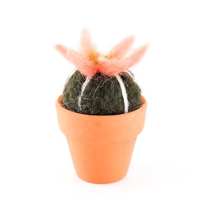 Miniature Felted Cactus in Terra Cotta Pot Choose Your Needle Felted Succulent image 6