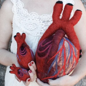 HeartFelt Anatomical Heart Human Scale image 5