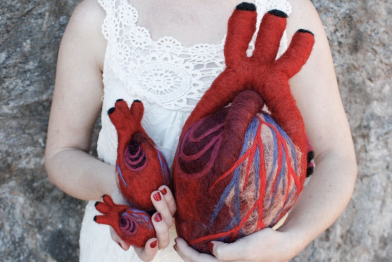 HeartFelt Anatomical Heart Human Scale image 5