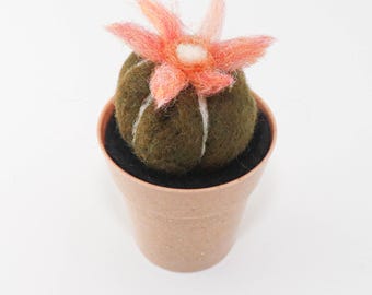 Needle Felted Cactus, Tan Planter