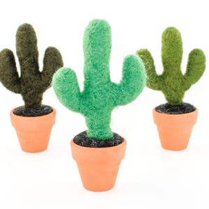Needle Felted Cactus - Wool Fiber Art - Faux Succulent