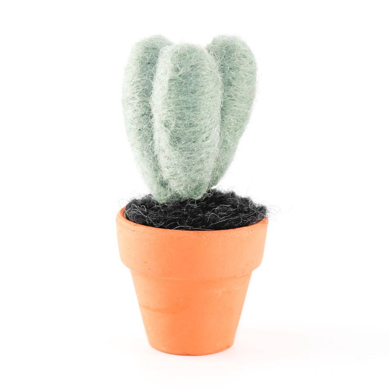 Miniature Felted Cactus in Terra Cotta Pot Choose Your Needle Felted Succulent image 10