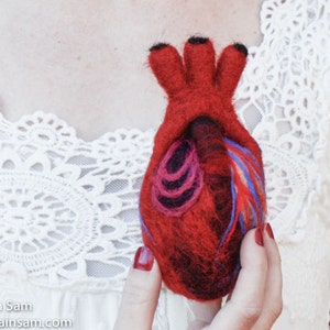 HeartFelt Anatomical Heart Human Scale image 1