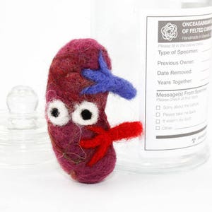 Felted Spleen w/ Personalized Specimen Label - Quirky Get Well Gift