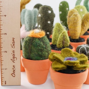 Miniature Felted Cactus in Terra Cotta Pot Choose Your Needle Felted Succulent image 4