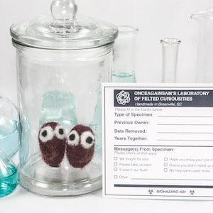 Felted Tonsils w/ Personalized Specimen Label - Quirky Get Well Gift