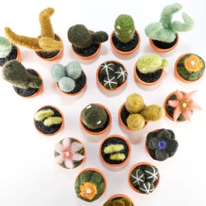Miniature Felted Cactus in Terra Cotta Pot Choose Your Needle Felted Succulent image 5