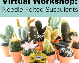 Virtual Workshop, Needle Felted Cactus Project DIY