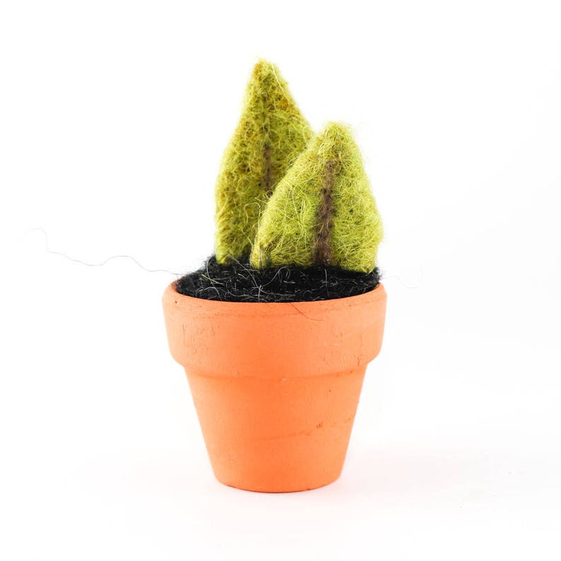 Miniature Felted Cactus in Terra Cotta Pot Choose Your Needle Felted Succulent image 7