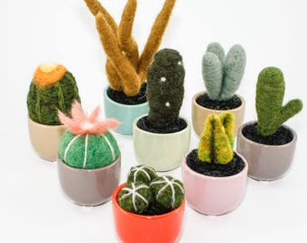 Miniature Felted Cactus in Colorful Succulent Cup (Choose your Needle Felted Plant)