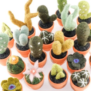 Miniature Felted Cactus in Terra Cotta Pot Choose Your Needle Felted Succulent image 3