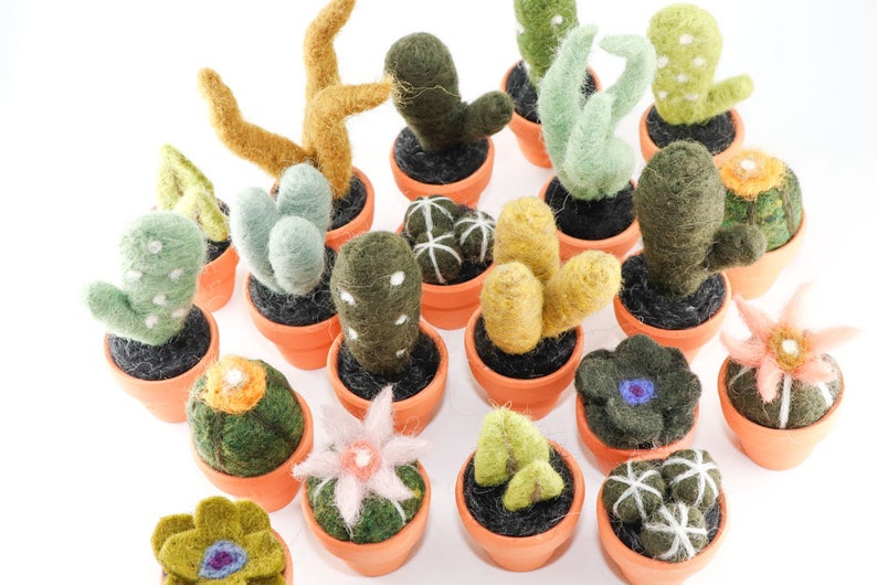 Miniature Felted Cactus in Terra Cotta Pot Choose Your Needle Felted Succulent image 3