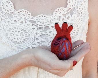 HeartFelt (XS) - Anatomical Heart