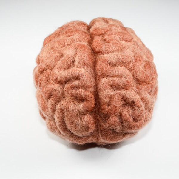 Needle Felted Brain - Pink Wool