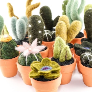 Miniature Felted Cactus in Terra Cotta Pot Choose Your Needle Felted Succulent image 1