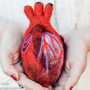 HeartFelt Anatomical Heart Human Scale image 2