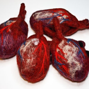 HeartFelt Anatomical Heart Human Scale image 4