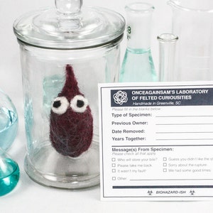 Puede incluir: Una criatura de fieltro roja con ojos saltones está dentro de un frasco de vidrio. Una tarjeta blanca con el texto "ONCEAGAINSAM'S LABORATORY OF FELTED CURIOUSITIES Handmade in Greenville, SC" está en primer plano. La tarjeta tiene una lista de verificación con el título "Message(s) From Specimen: Please check all that apply" y opciones como "Guess you didn't like the stones" y "We had some good times".