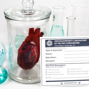 Cuore anatomico in feltro (XS) con barattolo da farmacia ed etichetta personalizzata per campioni