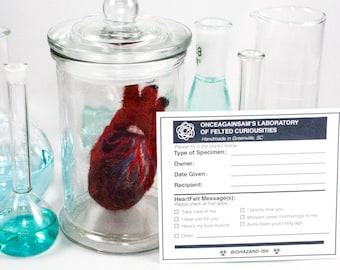 Cuore anatomico in feltro (XS) con barattolo da farmacia ed etichetta personalizzata per campioni