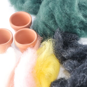 Felted Succulents Needle Felting Kit (for my virtual cactus workshop)
