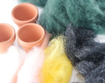 Felted Succulents Needle Felting Kit (per il mio laboratorio di cactus virtuale)