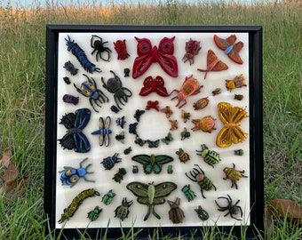 Needle Felted Insect Collection in Glass Curio Display Box (20x20 Black Frame)