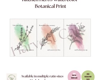 Kitchen Herb Wall Art Set - Thyme, Rosemary & Mint Botanical Prints - Digital Download JPGs - Printable Art, Multiple Sizes - ZIP Files