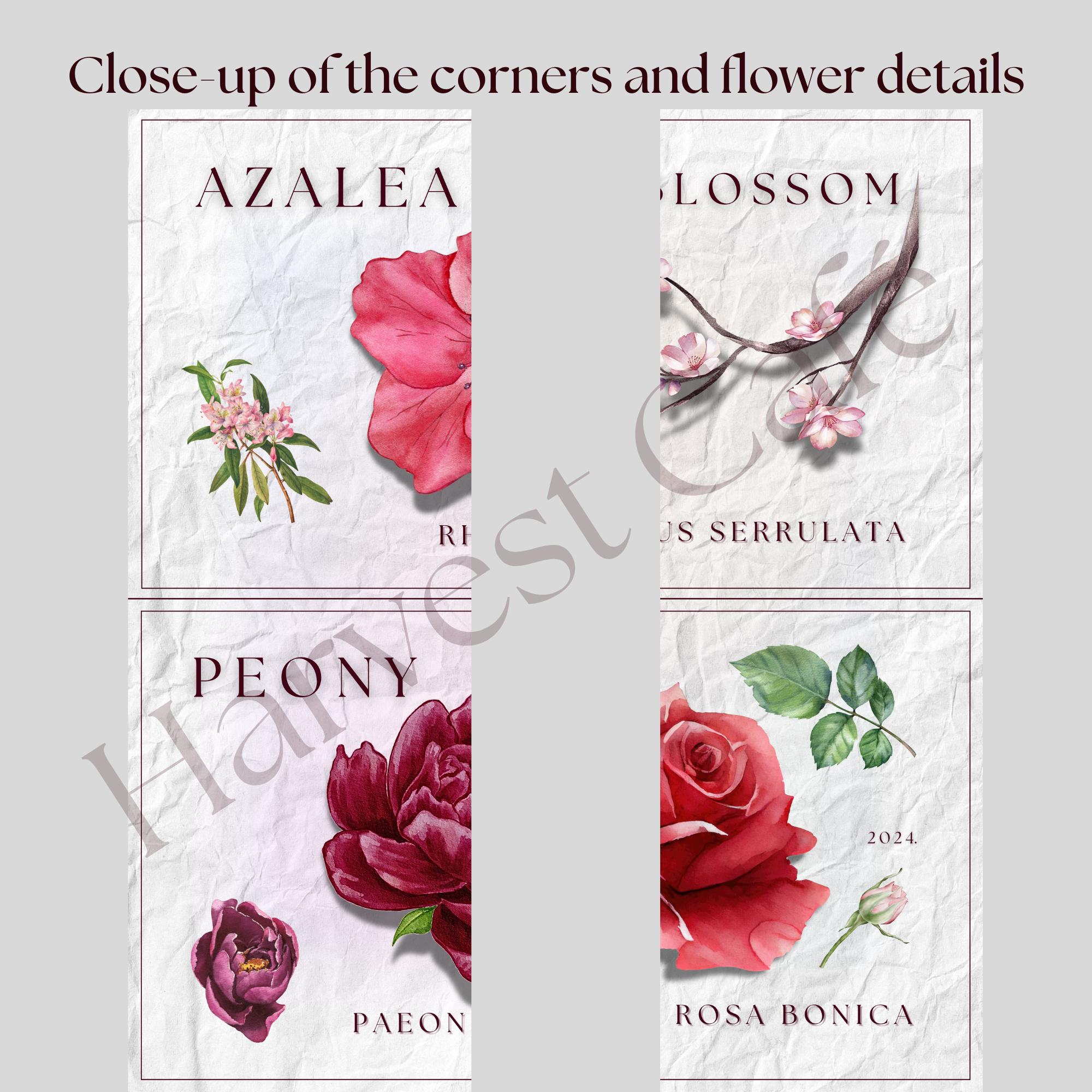 Vintage Botanical Flower Print Set – Pink Floral Wall Art – Printable ...