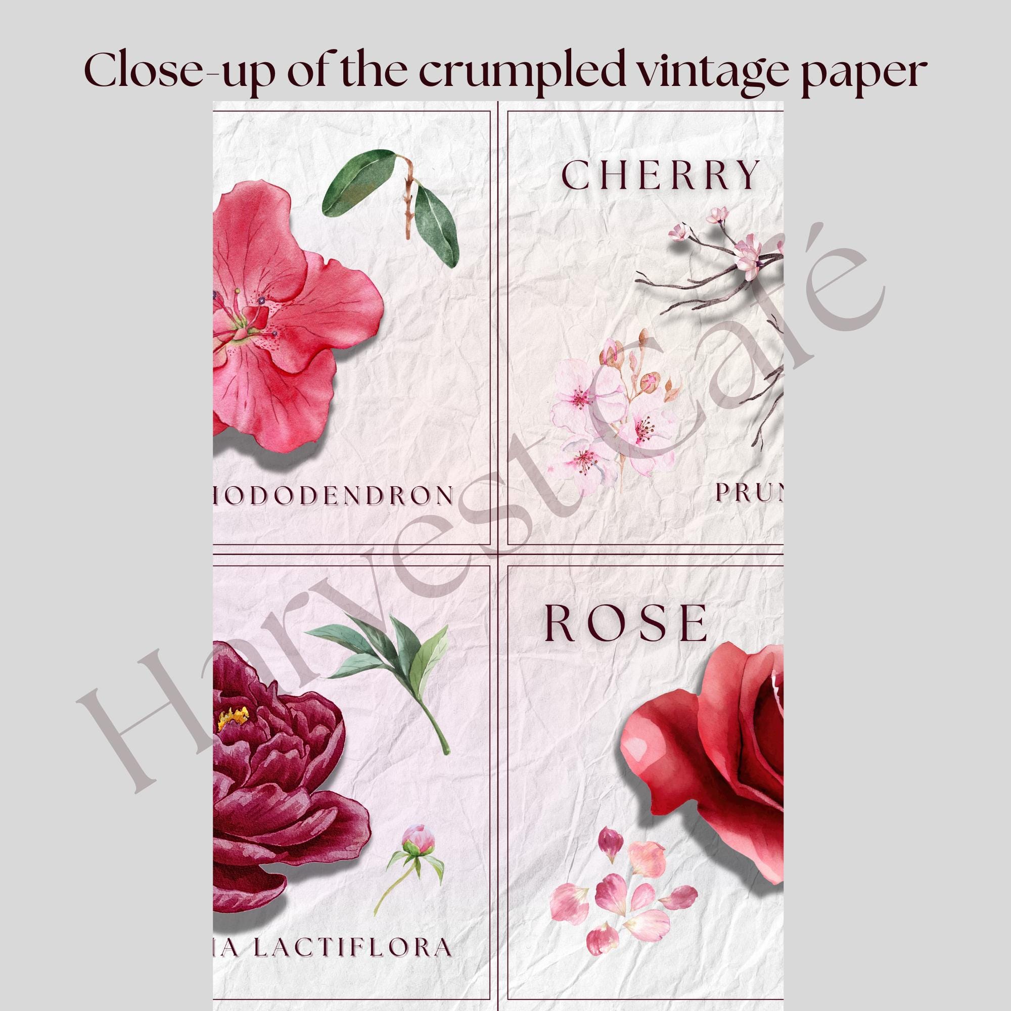 Vintage Botanical Flower Print Set – Pink Floral Wall Art – Printable ...