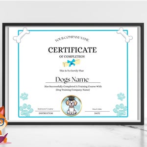 Dog Behavior Training Certification: Unlock Expert Skills Fast