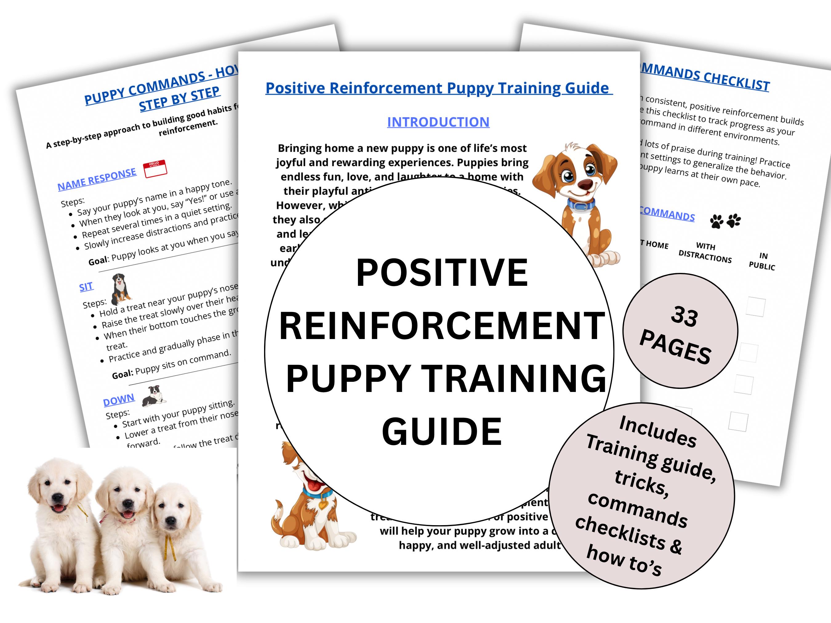 Positive Reinforcement Dog Training In Home Near Me Lawton, OK
