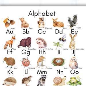 Alphabet chart, Woodland alphabet, Woodland ABC, Animal alphabet, Watercolor alphabet, ABC chart, Educational chart, Preschool ABCs,