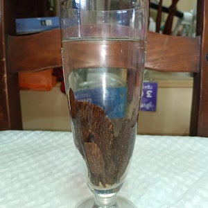 AAAA+++ Brunei Sinking Wild Black Kynam|Kyara Aq Malaccensis (Dead Tree harvested 2020&#39;s) 150-180 years old tree
