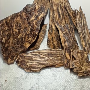 AAAA+++ Sinking Wild Black Kynam|Kyara Aq Hirta (Dead Tree harvested 2000's) Pahang, Central Malaysia