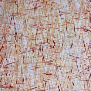 Marbled Paper with a Red and Yellow Wheat Pattern image 2