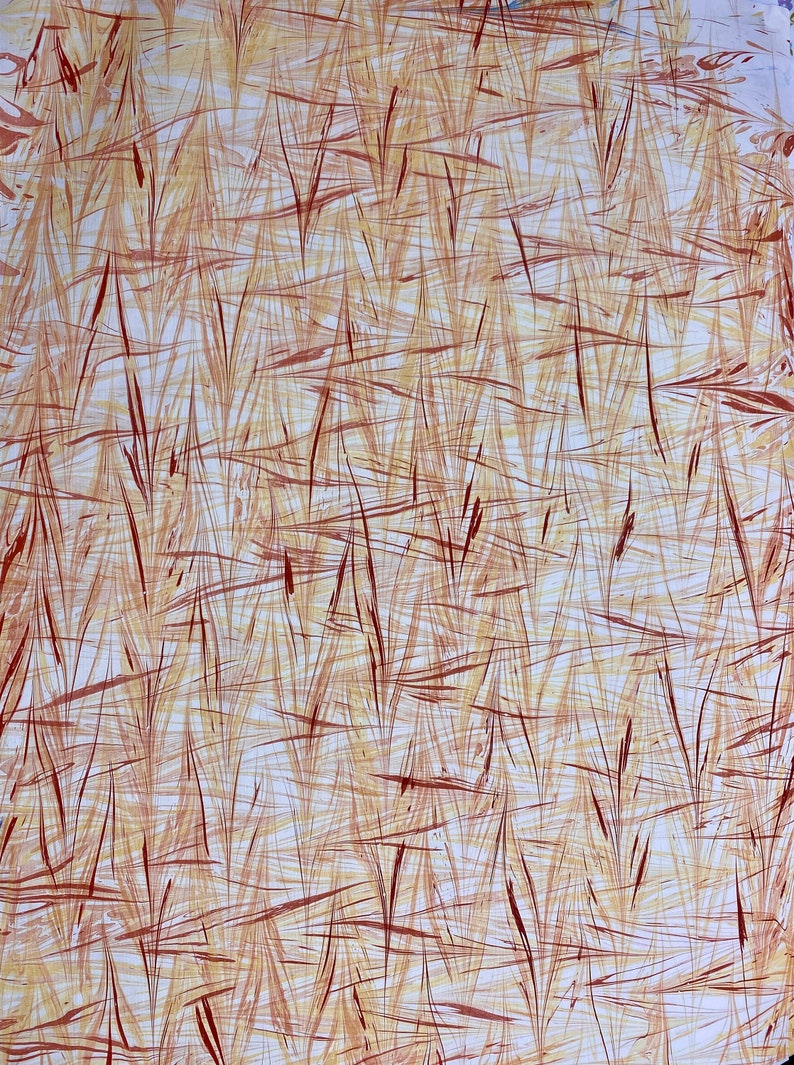 Marbled Paper with a Red and Yellow Wheat Pattern image 2