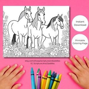 Horse Coloring Page - Printable Equestrian Art - Kids Activity - Horse Lover’s Coloring Sheet - Digital Download - Instant Download