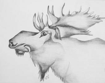 Hand Drawn in Graphite Moose Art Print 8 X 10