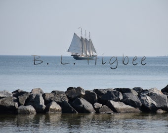 Yorktown Schooner