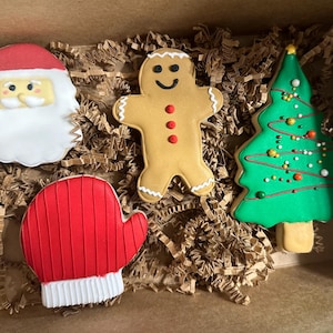 Christmas cookies for Santa