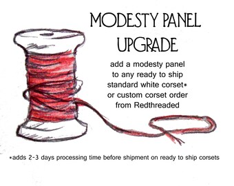 Modesty Panel Upgrade